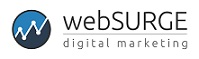 webSURGE