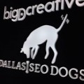 Dallas SEO Dogs