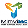 Mimvi SEO